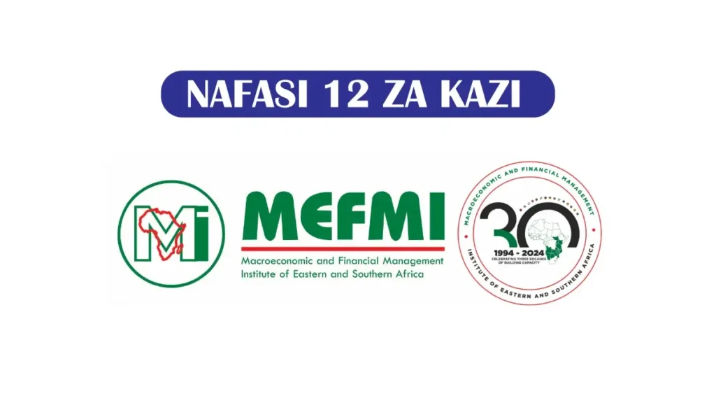 Mkurugenzi wa Mpango wa Usimamizi wa Uchumi wa Jumla (MEFMI) – Septemba 2025