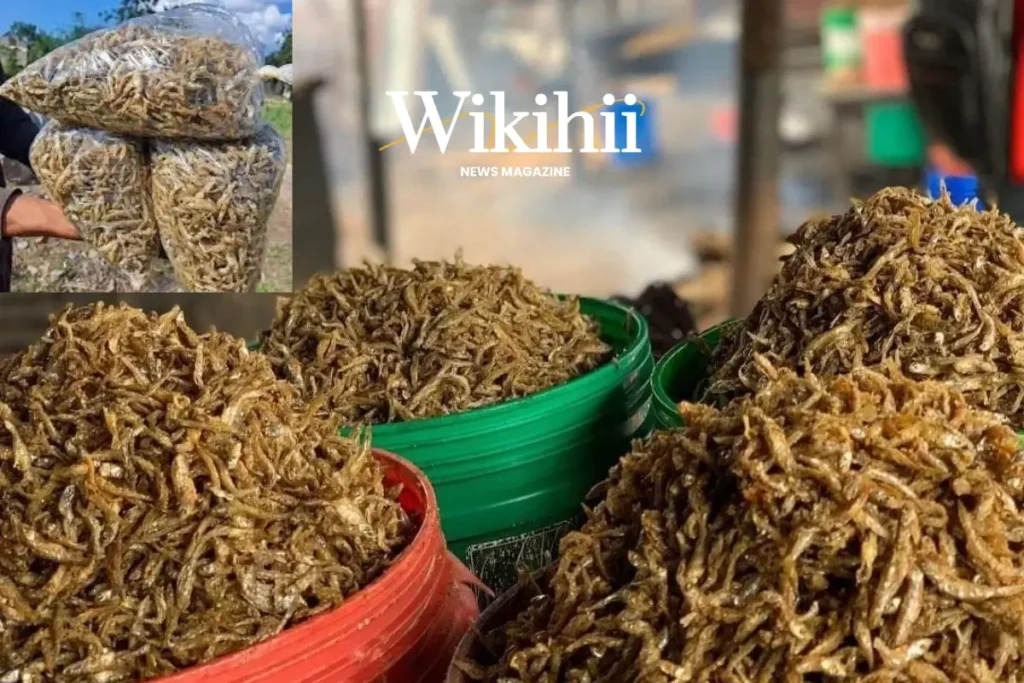 Mwongozo wa Kuanzisha Biashara ya Dagaa Nchini Tanzania
