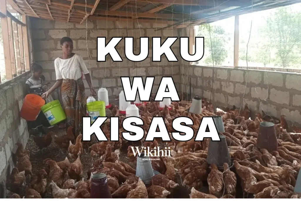Ufugaji wa Kuku wa Kisasa Fahamu Mbinu, Faida, Changamoto na Masoko