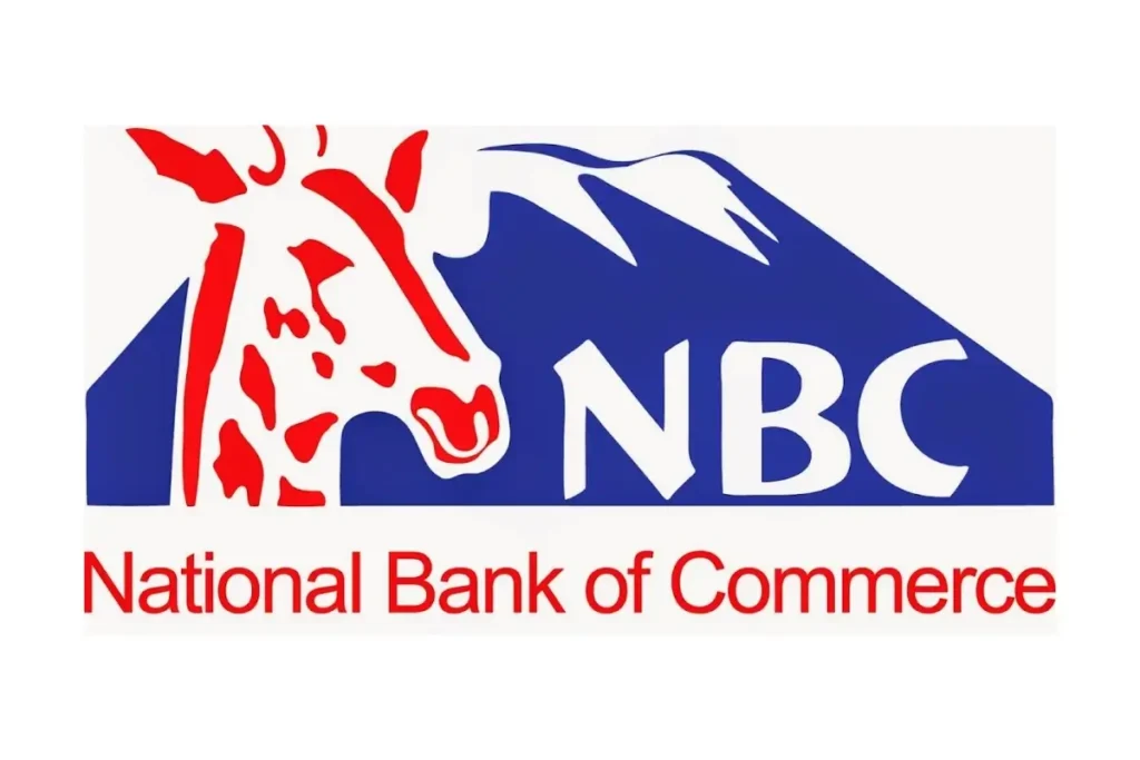 Manager Service Centre – Mbezi Chini (NBC)