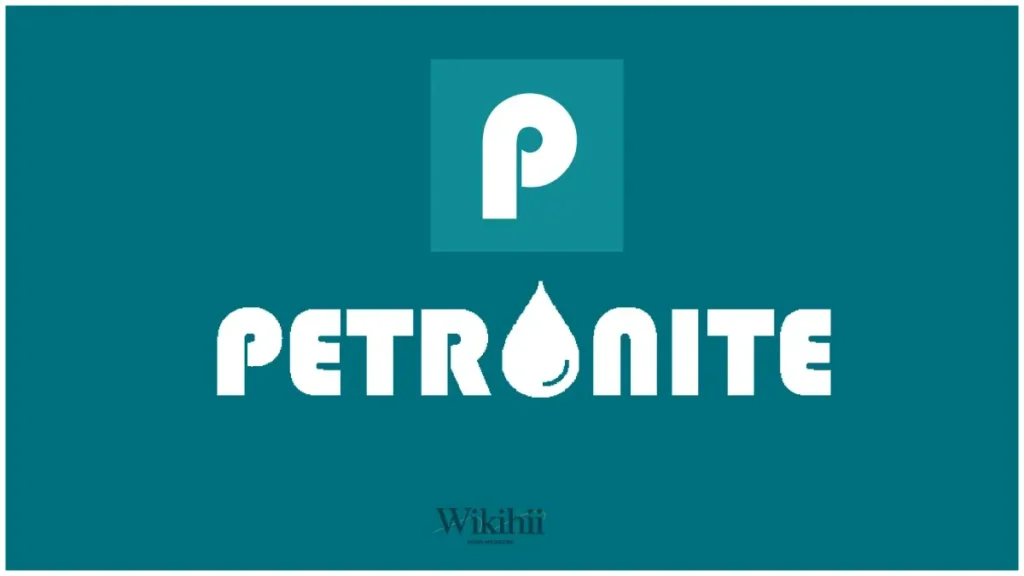 Ajira Accountant na Sales Manager – Petronite Company Limited