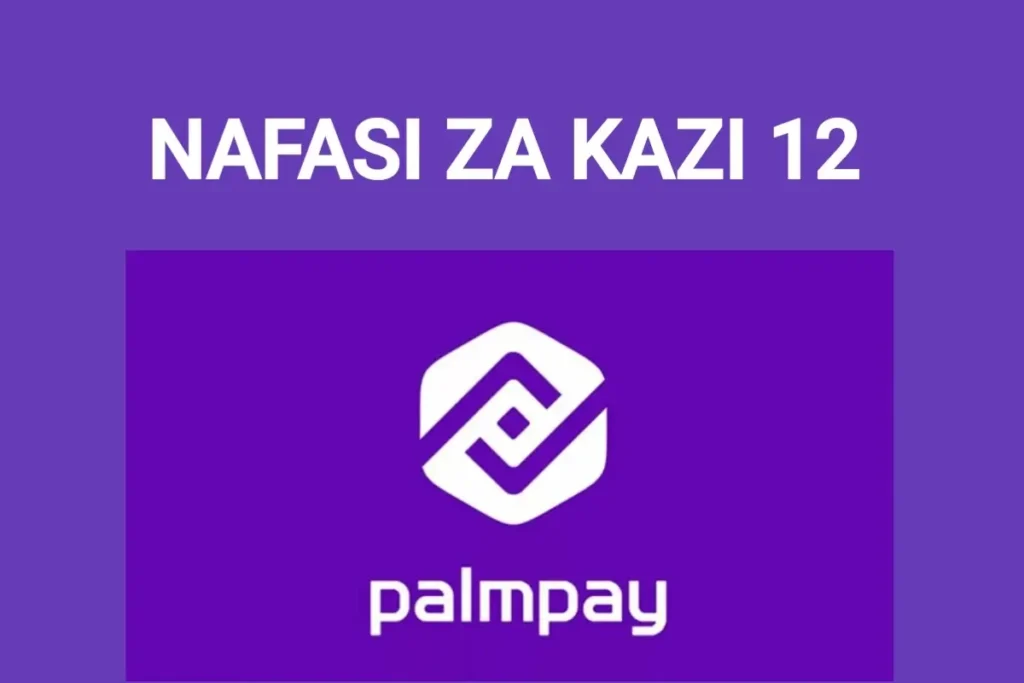 PalmPay_Nafasi_12_za_Kazi_Tanzania_(Agosti_2025)