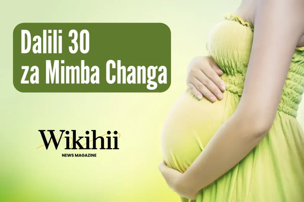 dalili za mimba changa kuharibika
