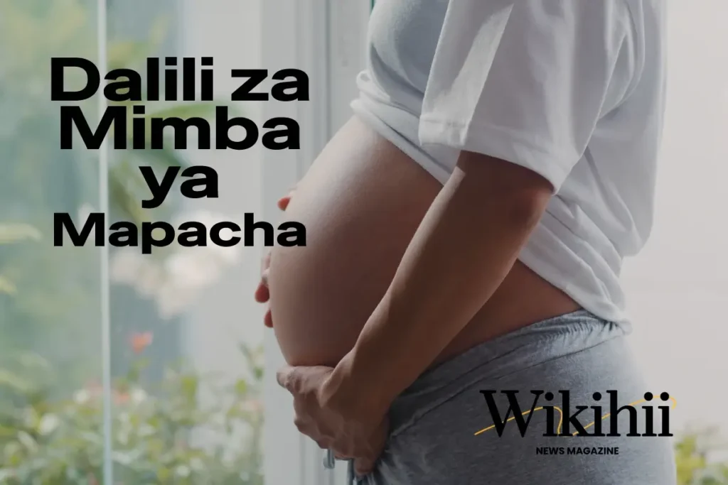 Dalili za Mimba ya Mapacha