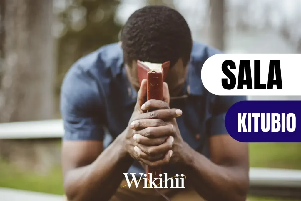 Jinsi ya kwenda Kitubio