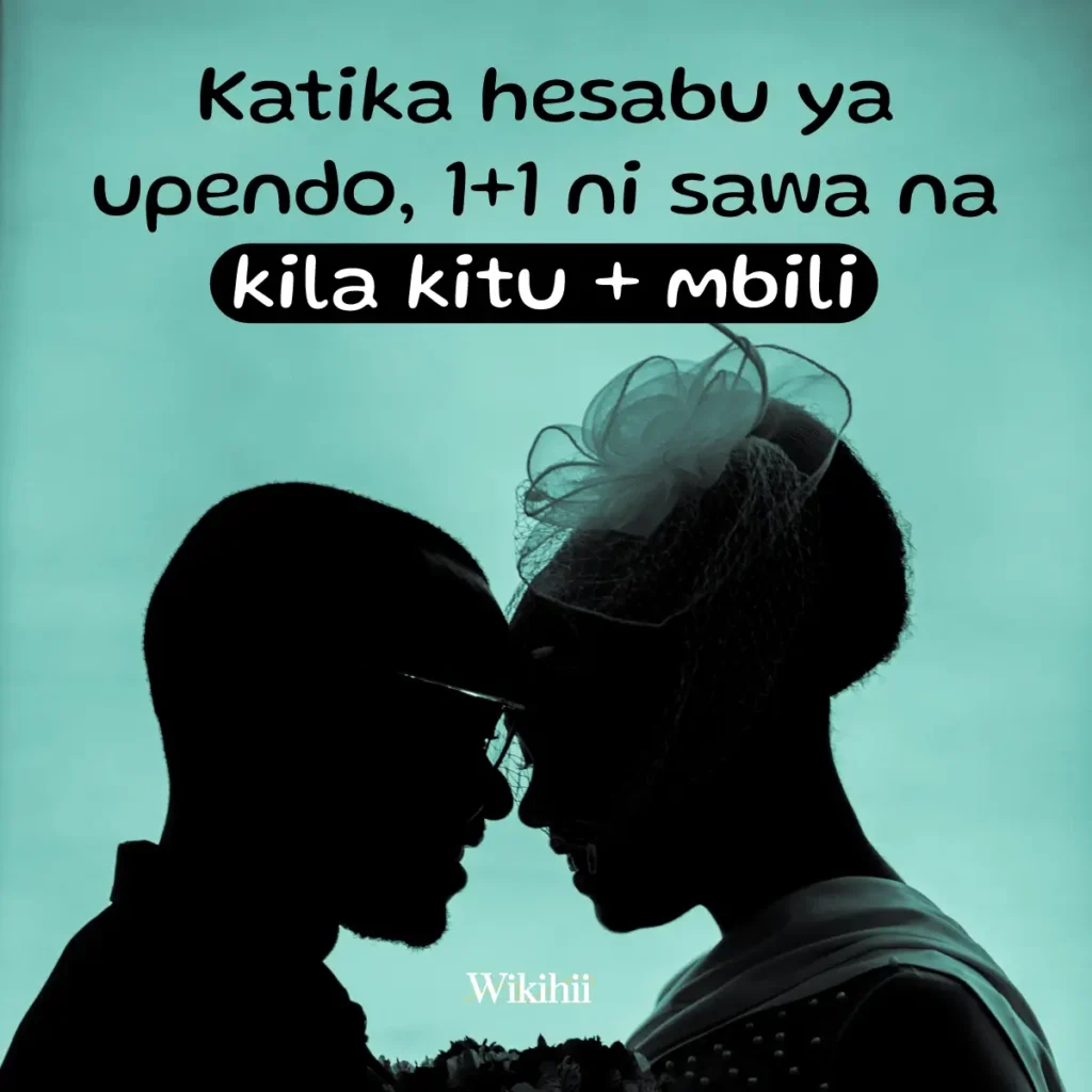 Katika hesabu za mapenzi 1+1 ni sawa na kila kitu + mbili