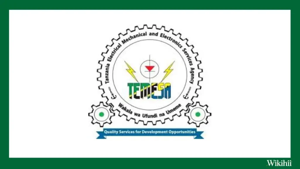 TEMESA