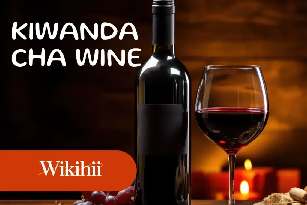Vitu Muhimu Vinavyohitajika Ili Kuifanikisha Biashara ya Wine (Small Industry)