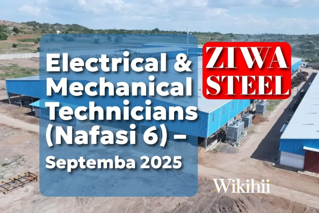 Ziwa Steel Electrical & Mechanical Technicians (Nafasi 6) – Septemba 2025