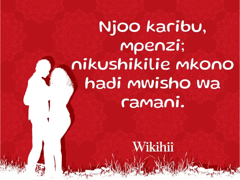 Ujumbe tamu wa mapenzi: njoo karibu mpenzi wangu