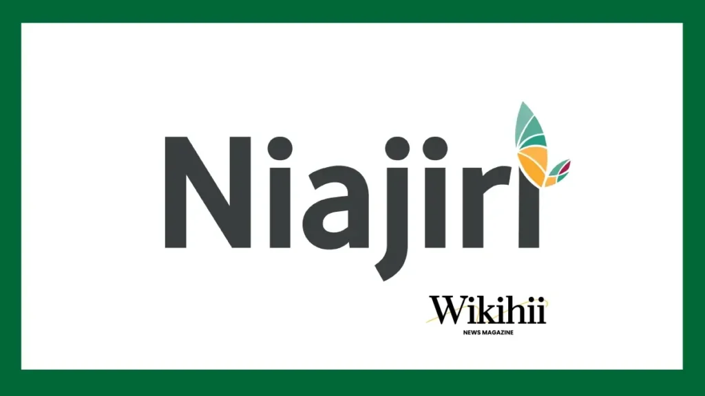 Niajiri Platform LTD