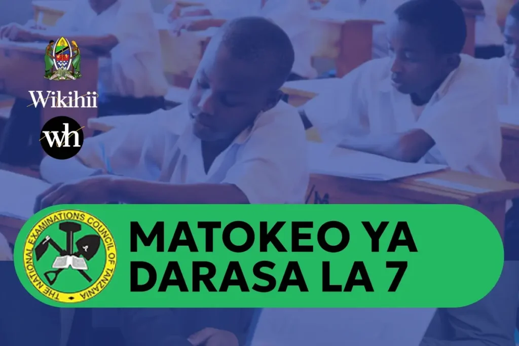 Matokeo ya Darasa la Saba NECTA - PSLE 2025