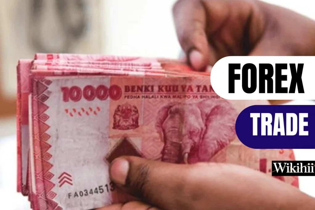 Mwongozo wa Forex kwa Watanzania Zana Muhimu, Mikakati, na Elimu ya Biashara ya Sarafu