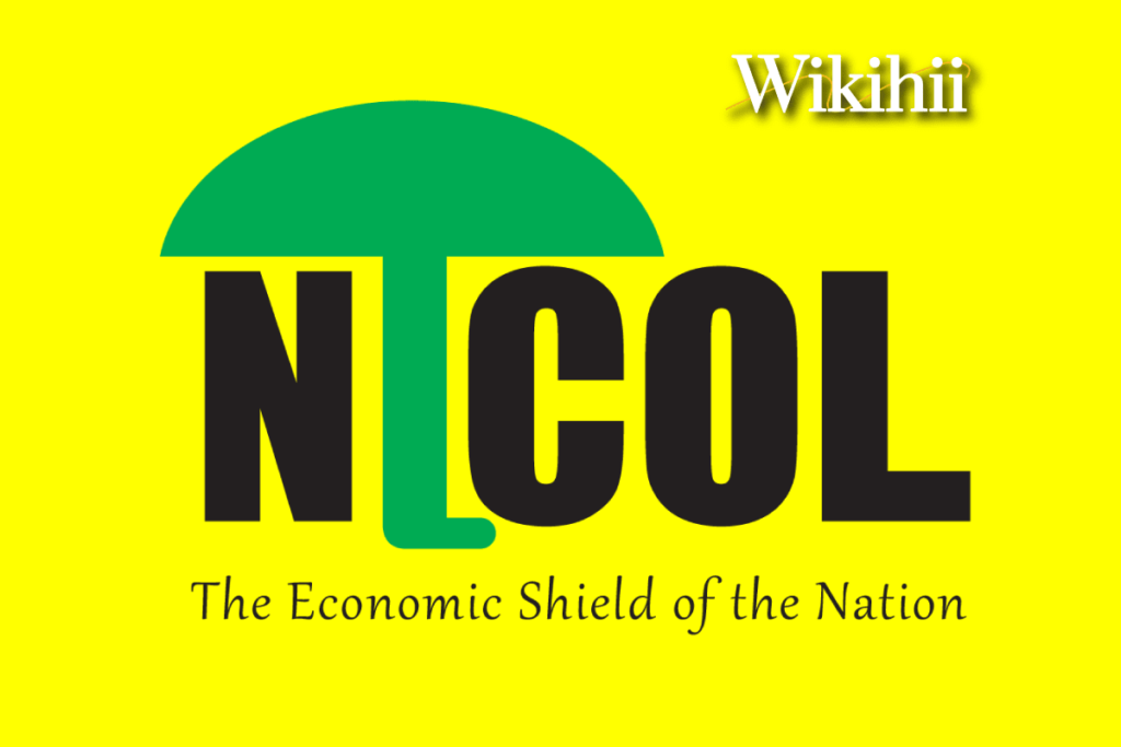 NICOL Investment Plc