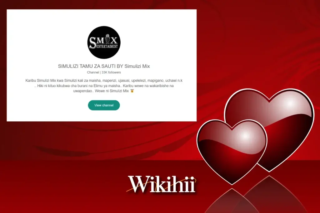 SIMULIZI TAMU ZA SAUTI BY Simulizi Mix