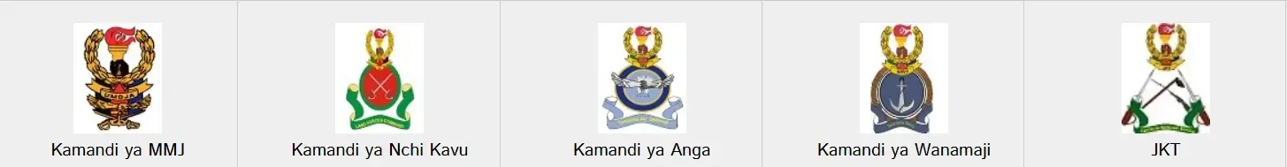 Vyeo vya Jeshi la Wananchi wa Tanzania (JWTZ) 2 Vyeo vya Jeshi la Wananchi wa Tanzania (JWTZ)